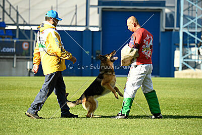 Rossia iz Vorta Wernogo