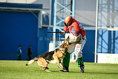 Rossia iz Vorta Wernogo