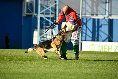 Rossia iz Vorta Wernogo