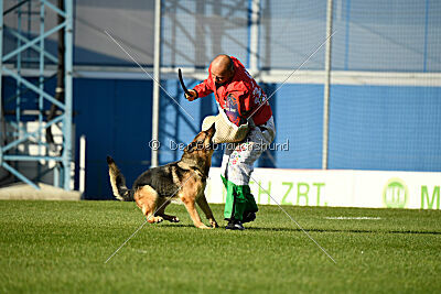 Rossia iz Vorta Wernogo