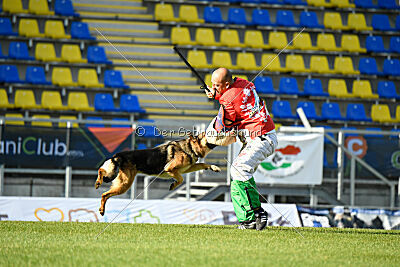 Rossia iz Vorta Wernogo