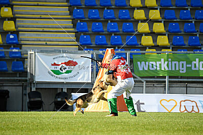 Rossia iz Vorta Wernogo