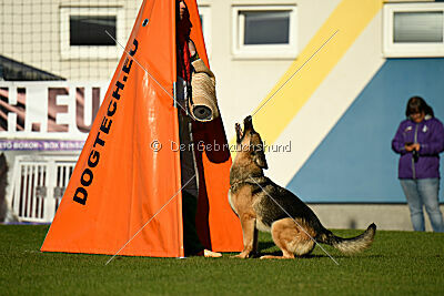 Rossia iz Vorta Wernogo