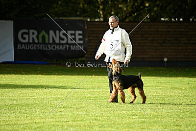 Royal Remo vom Treffenwald