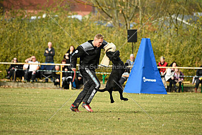 Ruben vom Lindelbrunn