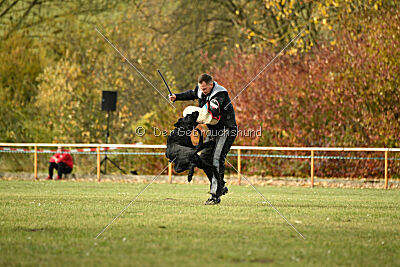 Ruben vom Lindelbrunn
