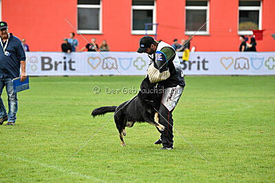 Rufus ze Stribrneho kamene