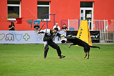 Rufus ze Stribrneho kamene