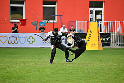 Rufus ze Stribrneho kamene