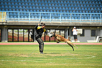S'Marco vom Kistenstein