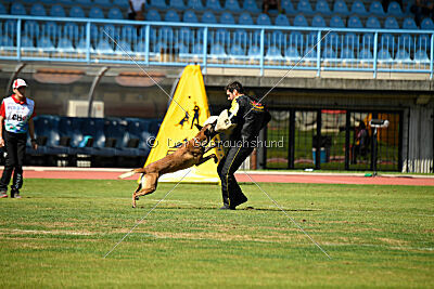 S'Marco vom Kistenstein