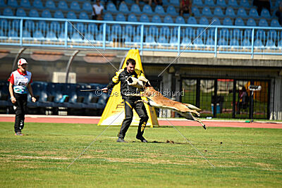 S'Marco vom Kistenstein
