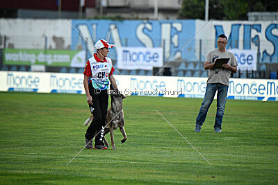 S'Marco vom Kistenstein