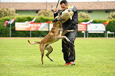 S'Marco vom Kistenstein