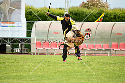 S'Marco vom Kistenstein