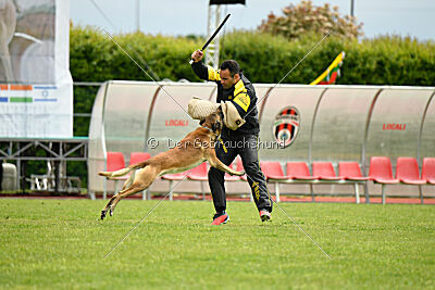 S'Marco vom Kistenstein