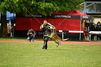S'Marco vom Kistenstein