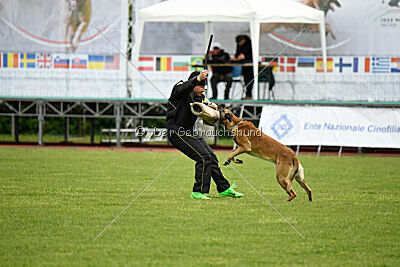 S'Marco vom Kistenstein