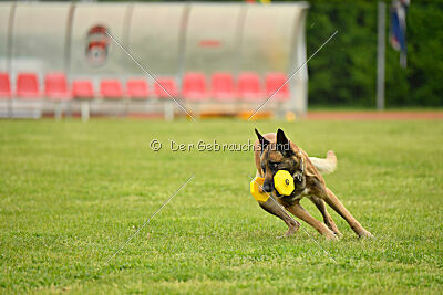 S'Marco vom Kistenstein