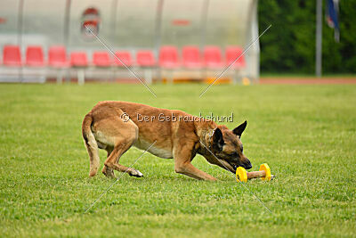 S'Marco vom Kistenstein