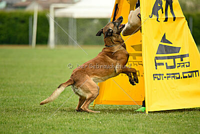 S'Marco vom Kistenstein