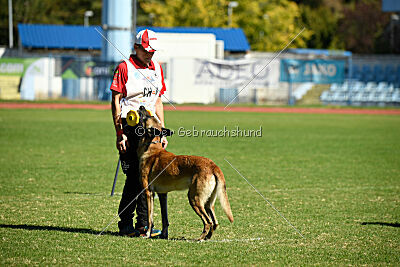 S'Marco vom Kistenstein
