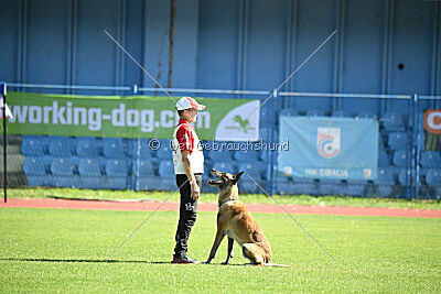 S'Marco vom Kistenstein