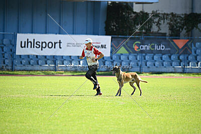 S'Marco vom Kistenstein