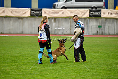 Safft Security's Coxie