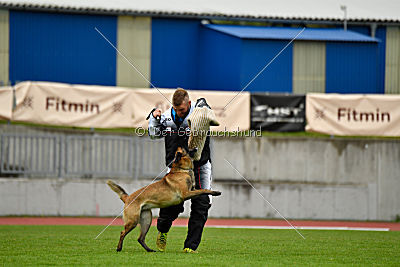 Safft Security's Coxie