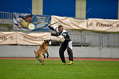 Safft Security's Coxie