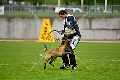 Safft Security's Coxie