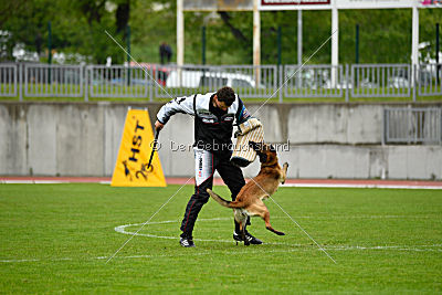 Safft Security's Coxie