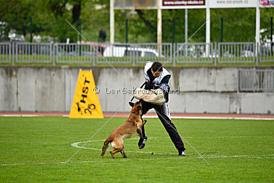 Safft Security's Coxie