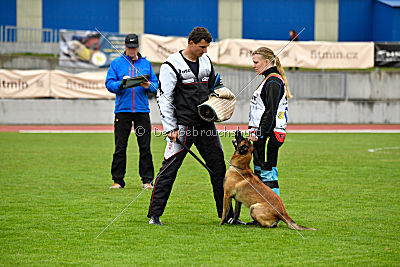 Safft Security's Coxie