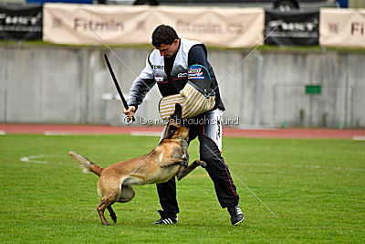 Safft Security's Coxie