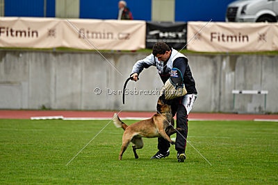 Safft Security's Coxie