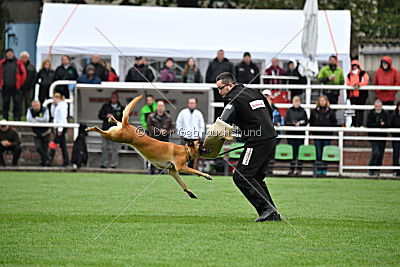 Sahneschnitte von der Steinteichmühle