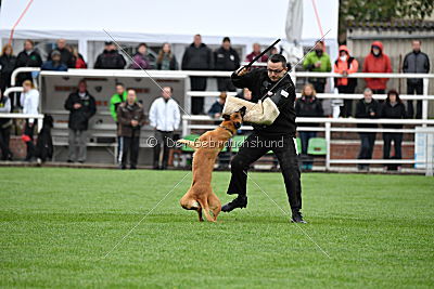 Sahneschnitte von der Steinteichmühle