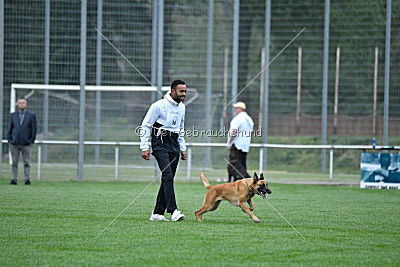 Sahneschnitte von der Steinteichmühle