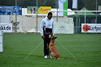 Sahneschnitte von der Steinteichmühle