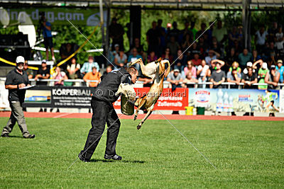 Sahneschnitte von der Steinteichmühle