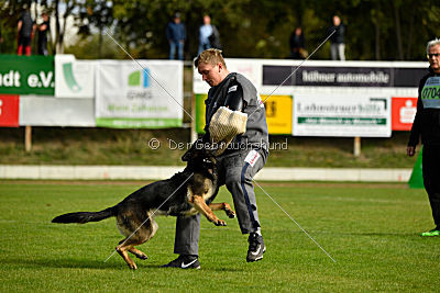 Sallie vom Haus Dexel