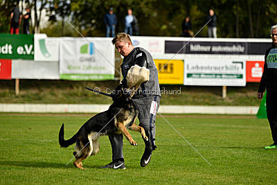 Sallie vom Haus Dexel