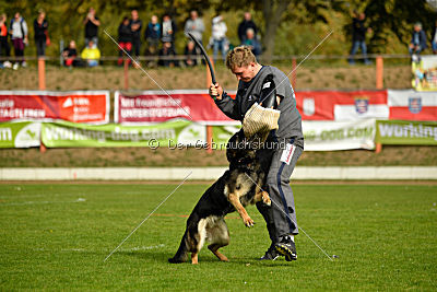 Sallie vom Haus Dexel