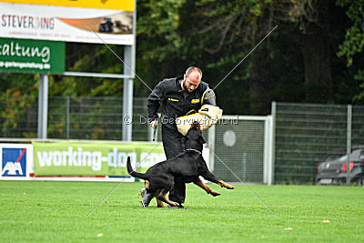 Sancho von der Pulvermühle
