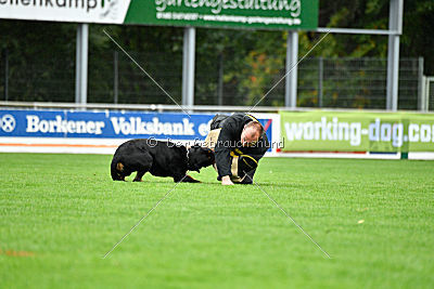 Sancho von der Pulvermühle