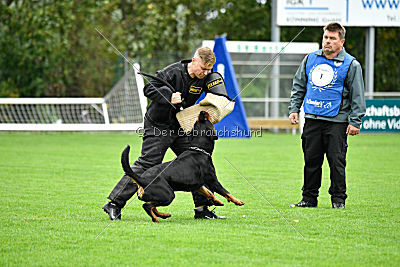 Sancho von der Pulvermühle