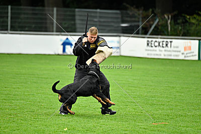 Sancho von der Pulvermühle