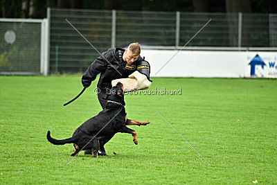 Sancho von der Pulvermühle